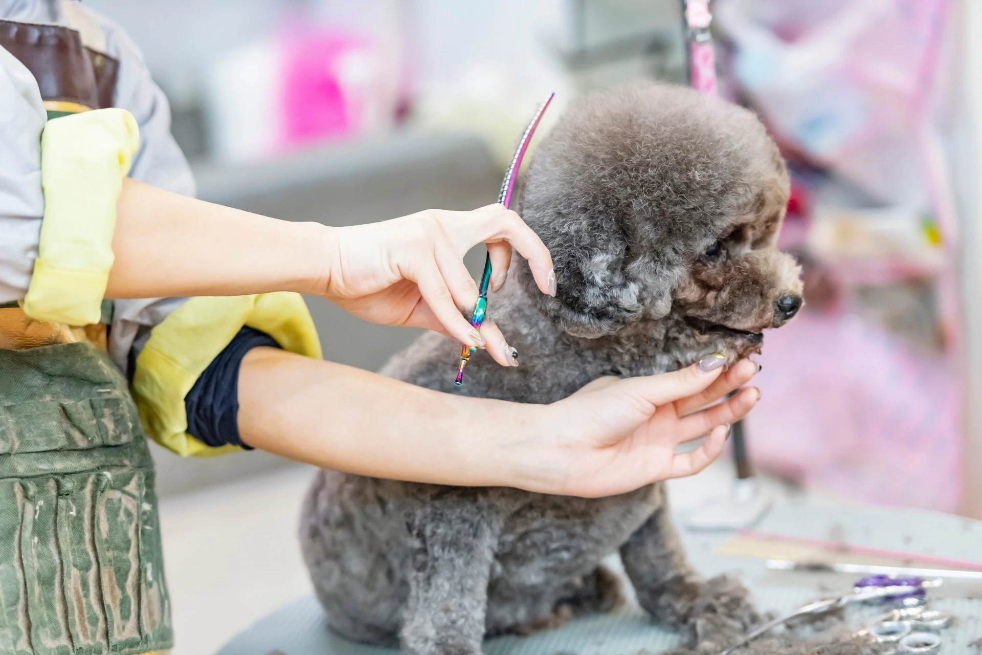 ギャラリー画像